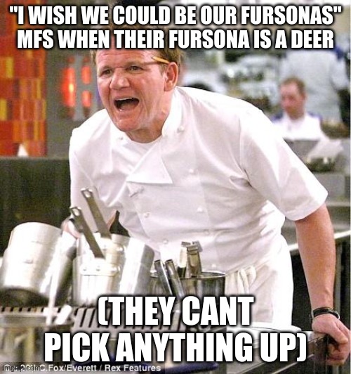 muahahah | "I WISH WE COULD BE OUR FURSONAS" MFS WHEN THEIR FURSONA IS A DEER; (THEY CANT PICK ANYTHING UP) | image tagged in memes,chef gordon ramsay | made w/ Imgflip meme maker