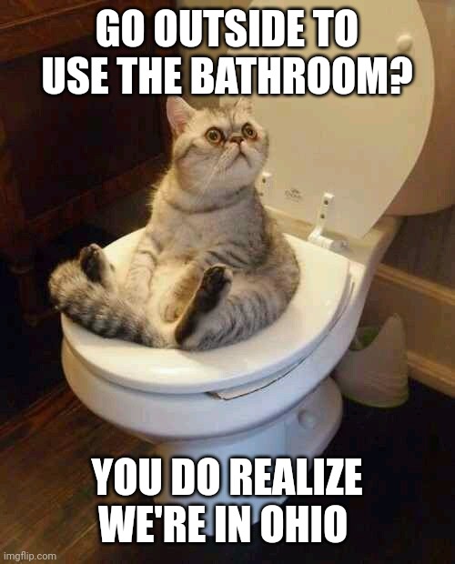 Toilet cat | GO OUTSIDE TO USE THE BATHROOM? YOU DO REALIZE WE'RE IN OHIO | image tagged in toilet cat | made w/ Imgflip meme maker