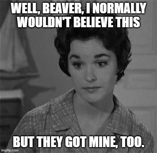 WELL, BEAVER, I NORMALLY WOULDN'T BELIEVE THIS BUT THEY GOT MINE, TOO. | made w/ Imgflip meme maker