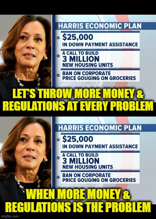 More Leftist Logic | LET'S THROW MORE MONEY &
REGULATIONS AT EVERY PROBLEM; WHEN MORE MONEY &
REGULATIONS IS THE PROBLEM | image tagged in kamala harris | made w/ Imgflip meme maker