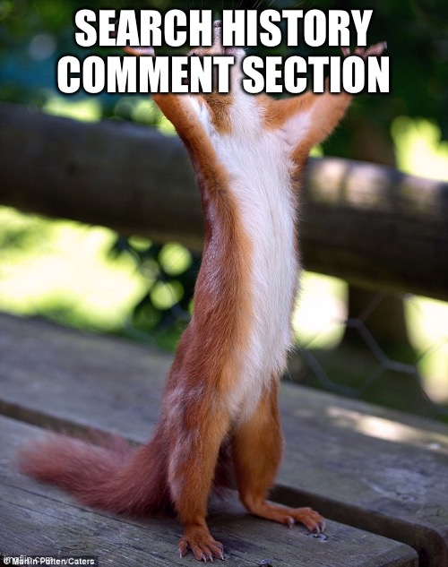 Behold | SEARCH HISTORY COMMENT SECTION | image tagged in behold | made w/ Imgflip meme maker