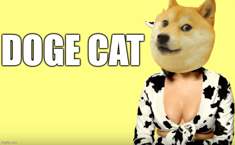 I ain’t tryna indulge in that | DOGE CAT | image tagged in doja cat explains,cursed image,doge,cursed,somebody tell doja cat i aint tryna indulge in that,central cee | made w/ Imgflip meme maker