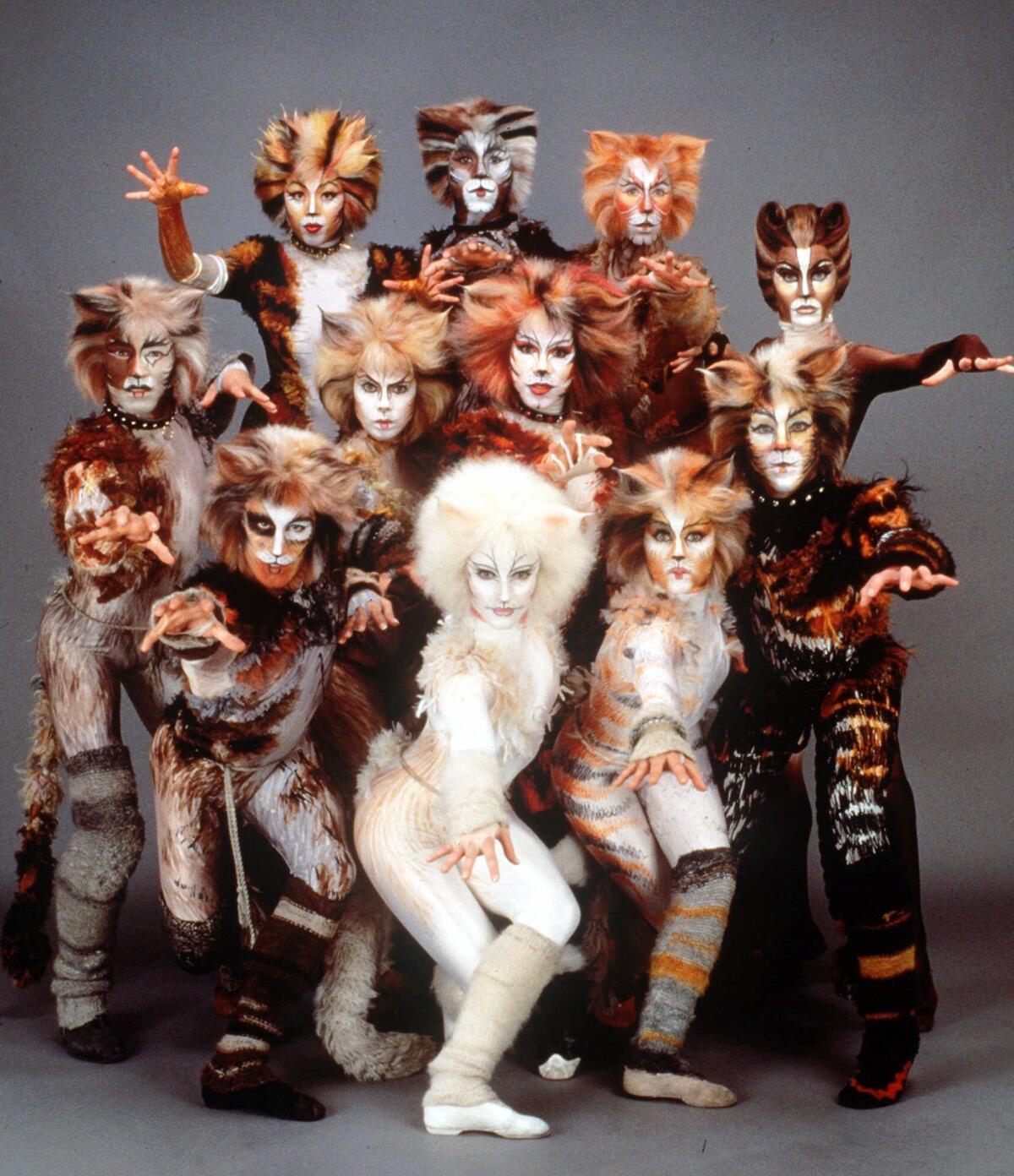 Cats Broadway Blank Meme Template