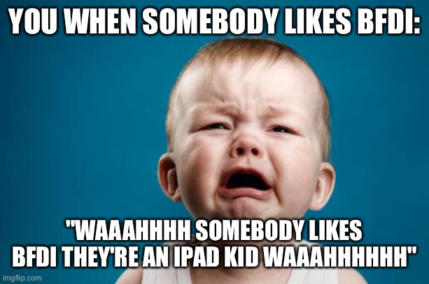 crybaby | YOU WHEN SOMEBODY LIKES BFDI: "WAAAHHHH SOMEBODY LIKES BFDI THEY'RE AN IPAD KID WAAAHHHHHH" | image tagged in crybaby | made w/ Imgflip meme maker