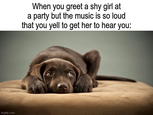 "Make some new friends" they said. "It'l be easy" they said | When you greet a shy girl at a party but the music is so loud that you yell to get her to hear you: | image tagged in memes,funny,relatable,people | made w/ Imgflip meme maker