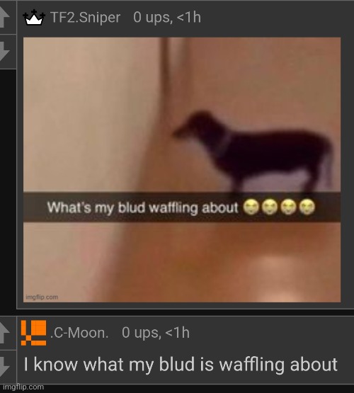 made w/ Imgflip meme maker