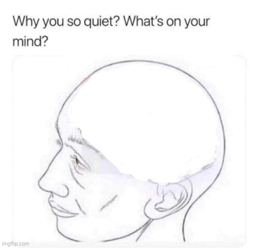 Absolutely nothing. 'Tis an abyss. | image tagged in what's on your mind | made w/ Imgflip meme maker