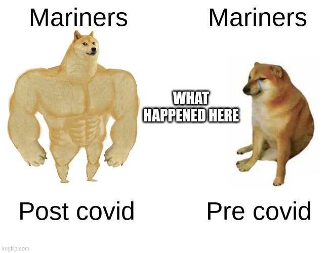 Buff Doge vs. Cheems Meme | Mariners; Mariners; WHAT HAPPENED HERE; Post covid; Pre covid | image tagged in memes,buff doge vs cheems | made w/ Imgflip meme maker