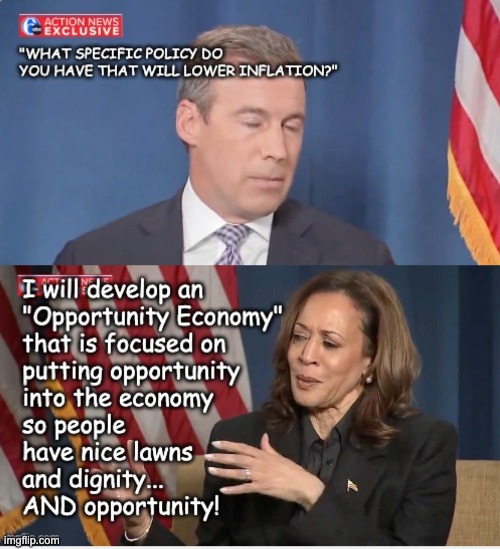 How much more proof do you need that she's unfit to run the country? | image tagged in kamala,dummy,what | made w/ Imgflip meme maker