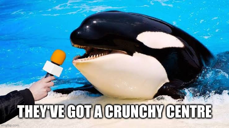 Orca talking into a microphone | THEY'VE GOT A CRUNCHY CENTRE | image tagged in orca talking into a microphone | made w/ Imgflip meme maker