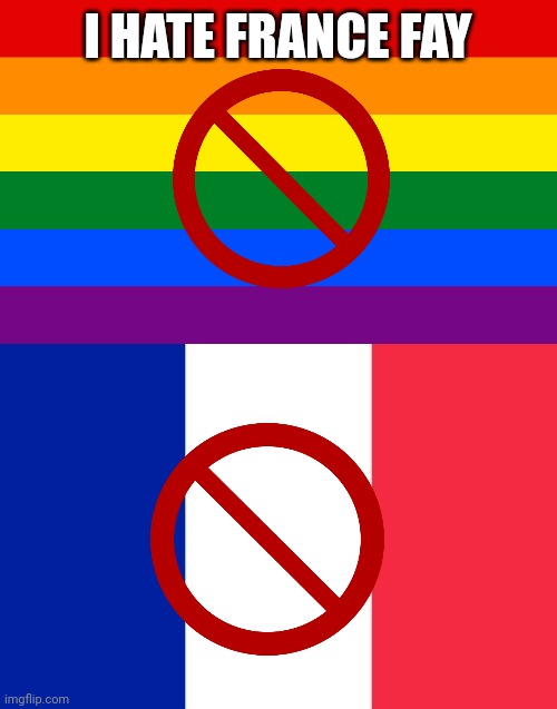 I hate France gay | I HATE FRANCE FAY | image tagged in pride flag,vive la france | made w/ Imgflip meme maker