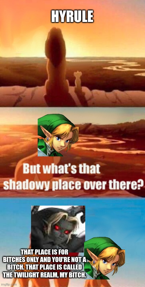 link/dark link | HYRULE; THAT PLACE IS FOR BITCHES ONLY AND YOU'RE NOT A BITCH. THAT PLACE IS CALLED THE TWILIGHT REALM, MY BITCH. | image tagged in memes,simba shadowy place | made w/ Imgflip meme maker