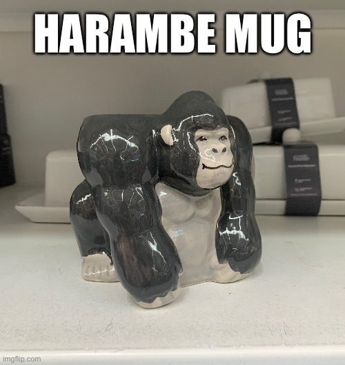 Please upvote this or smth | HARAMBE MUG | image tagged in harambe,monke,nostalgia,funny,memes,sexy | made w/ Imgflip meme maker