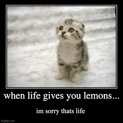 when life gives you lemons... | im sorry thats life | image tagged in funny,demotivationals | made w/ Imgflip demotivational maker