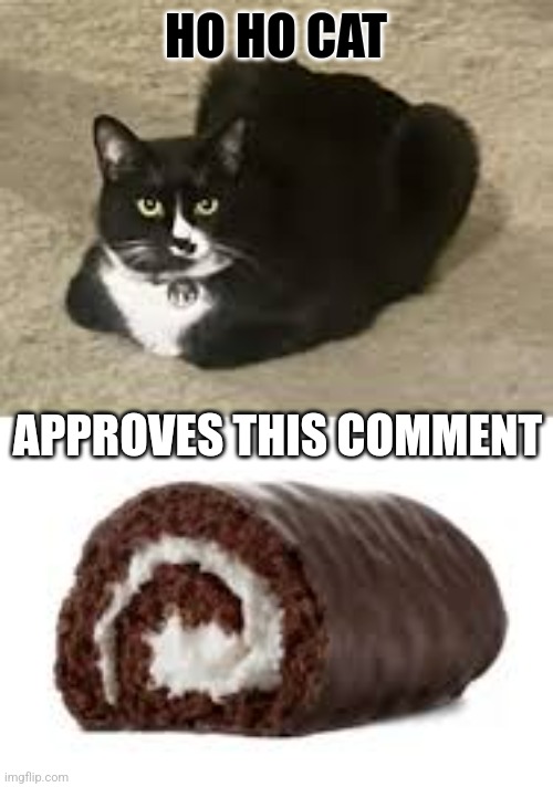 HO HO CAT APPROVES THIS COMMENT | made w/ Imgflip meme maker