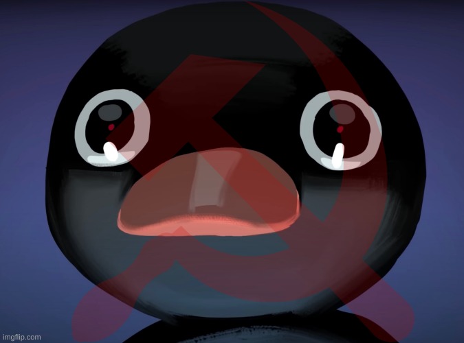 Pingu stare | image tagged in pingu stare | made w/ Imgflip meme maker