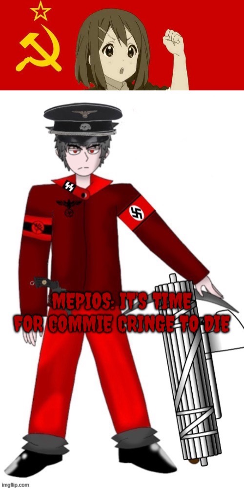 (This meme does not endorse n**ism so please excuse the character design) | image tagged in anti communist,mepios,no anime,ww2 | made w/ Imgflip meme maker