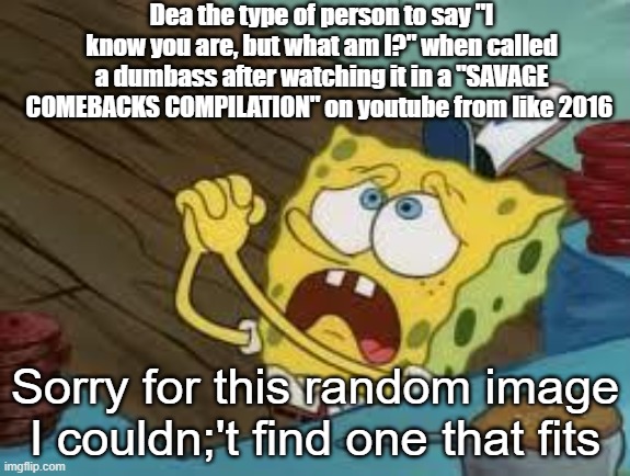 used to like her but were ops now ig | Dea the type of person to say "I know you are, but what am I?" when called a dumbass after watching it in a "SAVAGE COMEBACKS COMPILATION" on youtube from like 2016; Sorry for this random image I couldn;'t find one that fits | image tagged in begging bob fix euw | made w/ Imgflip meme maker