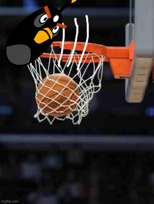 Basketball | image tagged in basketball | made w/ Imgflip meme maker