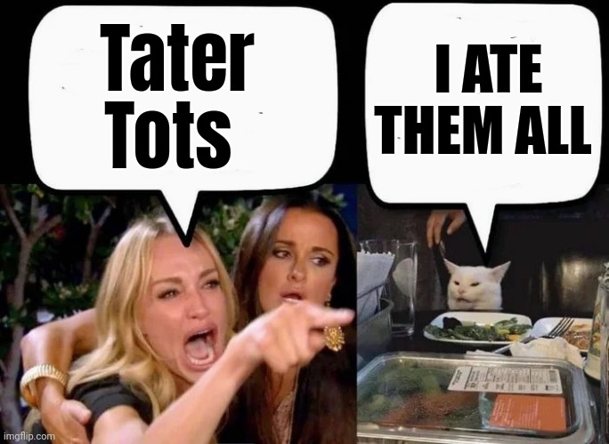 Tater Tots I ATE THEM ALL | made w/ Imgflip meme maker