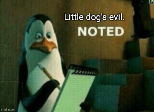 Noted | Little dog's evil. | image tagged in noted | made w/ Imgflip meme maker