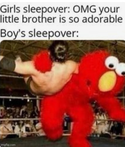 Fr | image tagged in elmo wrestling | made w/ Imgflip meme maker