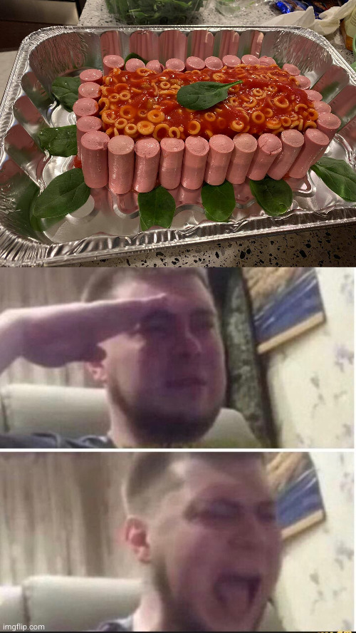 image tagged in spaghettios,crying salute | made w/ Imgflip meme maker