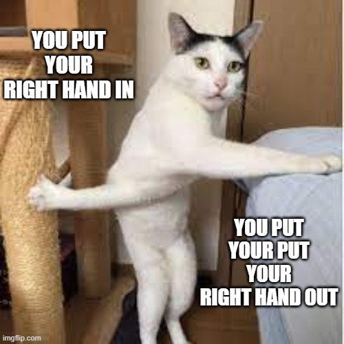 memes by Brad - My cat does the Hoky Poky | YOU PUT YOUR RIGHT HAND IN; YOU PUT YOUR PUT YOUR RIGHT HAND OUT | image tagged in funny,cats,kittens,funny cat memes,dancing,humor | made w/ Imgflip meme maker