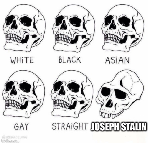 Stalin is an actual incel because he is a PDF FILE | JOSEPH STALIN | image tagged in degenerate skulls | made w/ Imgflip meme maker