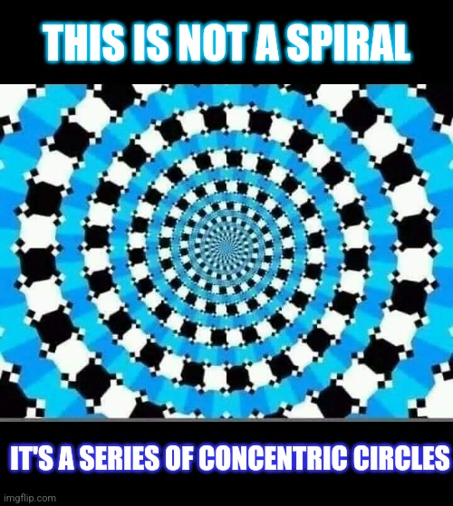 Change your mind | THIS IS NOT A SPIRAL; IT'S A SERIES OF CONCENTRIC CIRCLES | image tagged in spiral,circle,optical illusion,eyes,mind trick | made w/ Imgflip meme maker