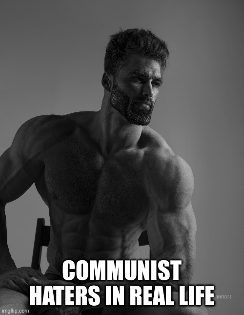 They’re the best | COMMUNIST HATERS IN REAL LIFE | image tagged in giga chad | made w/ Imgflip meme maker