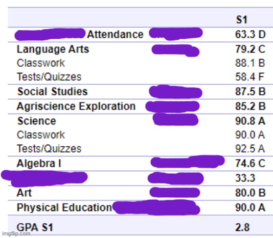 are these good grades? (censored private info like names) | made w/ Imgflip meme maker