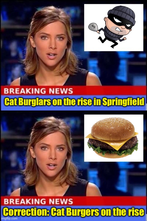 Breaking News | Cat Burglars on the rise in Springfield; Correction: Cat Burgers on the rise | image tagged in breaking news | made w/ Imgflip meme maker