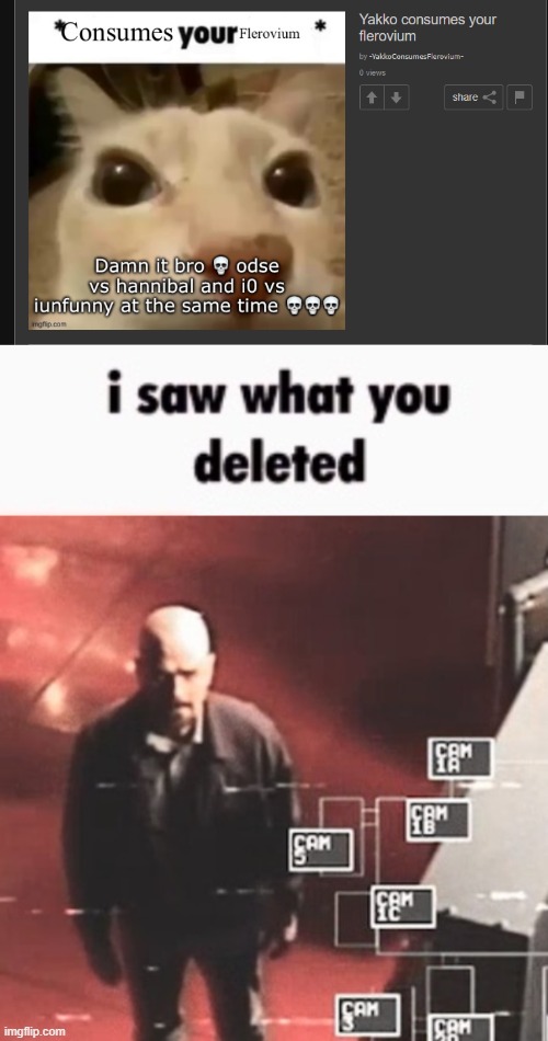 image tagged in i saw what you deleted | made w/ Imgflip meme maker