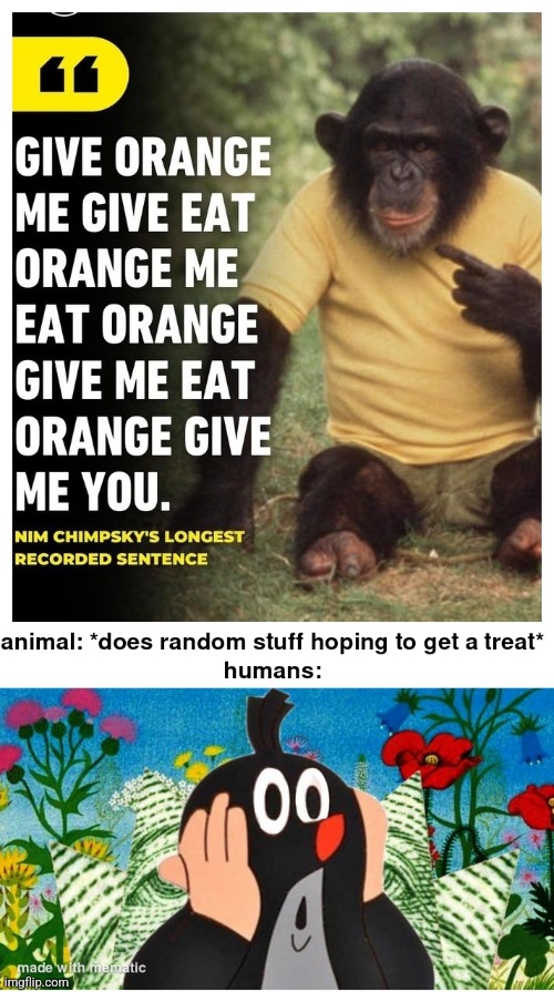 bro was probably doing it randomly because he got a treat for it earlier. | made w/ Imgflip meme maker