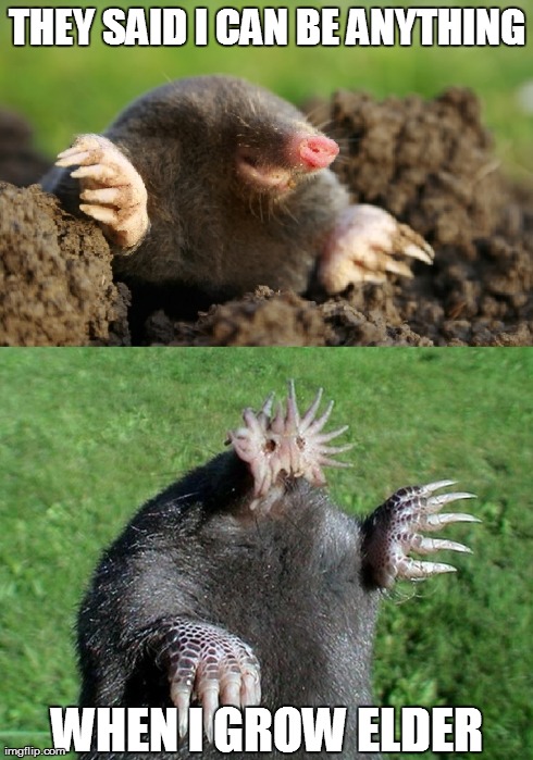 Elder starnose mole | THEY SAID I CAN BE ANYTHING WHEN I GROW ELDER | image tagged in elder thing,starnose mole | made w/ Imgflip meme maker