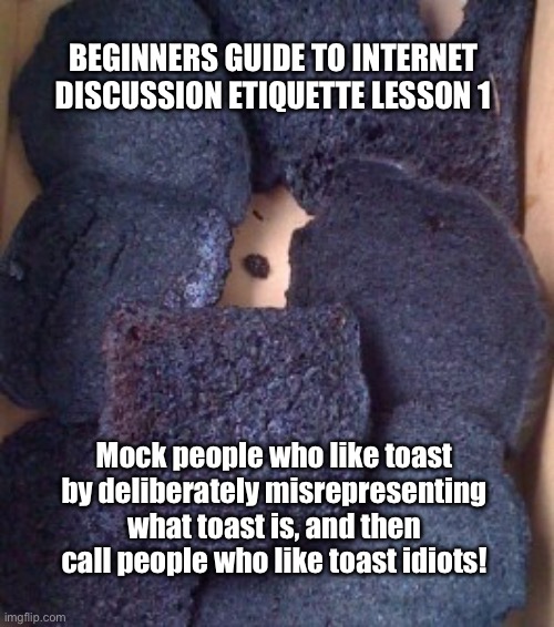 Straw Man Fallacy | BEGINNERS GUIDE TO INTERNET DISCUSSION ETIQUETTE LESSON 1; Mock people who like toast by deliberately misrepresenting what toast is, and then call people who like toast idiots! | image tagged in burnt toast | made w/ Imgflip meme maker