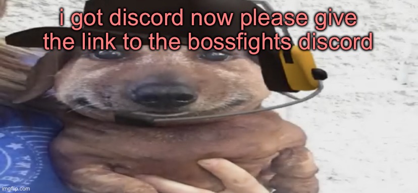 you will obey | i got discord now please give the link to the bossfights discord | image tagged in chucklenuts | made w/ Imgflip meme maker