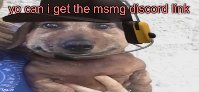 chucklenuts | yo can i get the msmg discord link | image tagged in chucklenuts | made w/ Imgflip meme maker