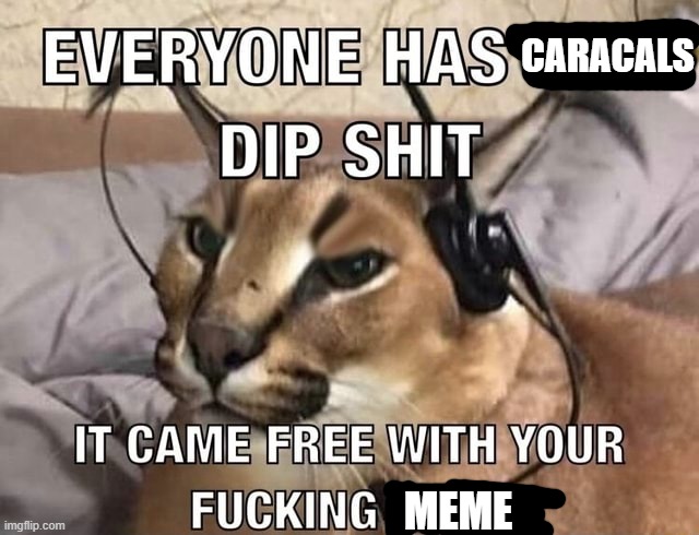 Everyone has X Dip Shit | CARACALS; MEME | image tagged in everyone has x dip shit | made w/ Imgflip meme maker