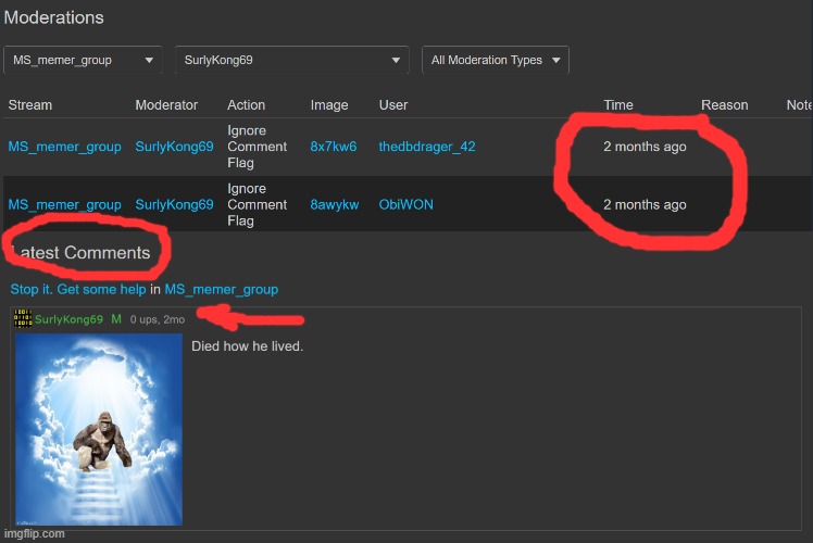 can we demote surlykong owner? dude is inactive. | made w/ Imgflip meme maker