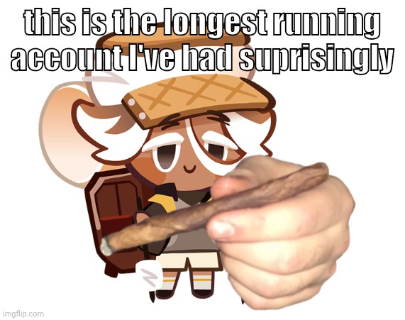 smore cookie with a blunt | this is the longest running account I've had suprisingly | image tagged in smore cookie with a blunt | made w/ Imgflip meme maker