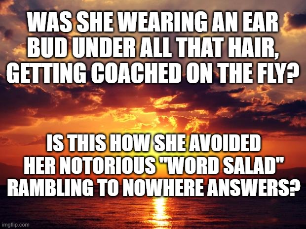 Sunset | WAS SHE WEARING AN EAR BUD UNDER ALL THAT HAIR, GETTING COACHED ON THE FLY? IS THIS HOW SHE AVOIDED HER NOTORIOUS "WORD SALAD" RAMBLING TO NOWHERE ANSWERS? | image tagged in sunset | made w/ Imgflip meme maker