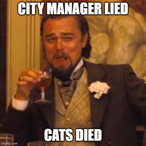 Laughing Leo | CITY MANAGER LIED; CATS DIED | image tagged in memes,laughing leo | made w/ Imgflip meme maker