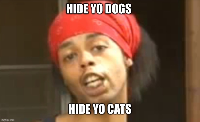 Hide Yo Kids, Hide Yo Wife | HIDE YO DOGS; HIDE YO CATS | image tagged in hide yo kids hide yo wife | made w/ Imgflip meme maker