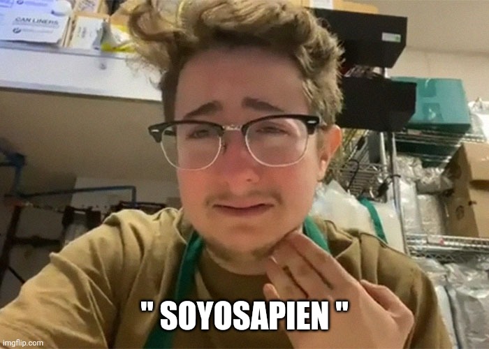 soy boy meme | " SOYOSAPIEN " | image tagged in liberals | made w/ Imgflip meme maker