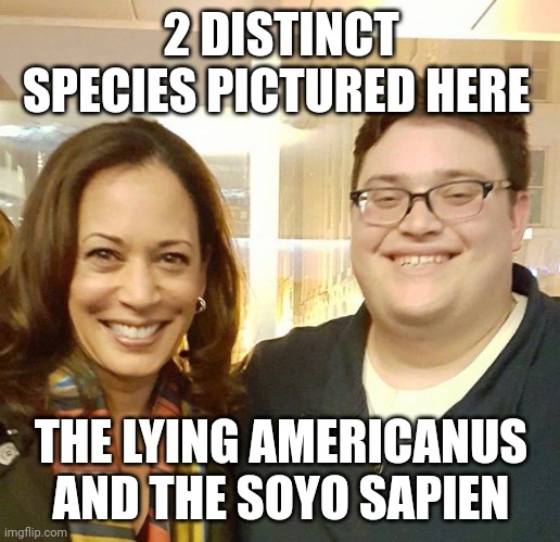 kamala harris meme | 2 DISTINCT SPECIES PICTURED HERE; THE LYING AMERICANUS AND THE SOYO SAPIEN | image tagged in kamala harris | made w/ Imgflip meme maker