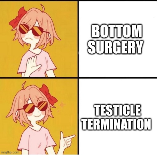 Bottom surgery meme | BOTTOM SURGERY; TESTICLE TERMINATION | image tagged in sayori drake,transgender | made w/ Imgflip meme maker