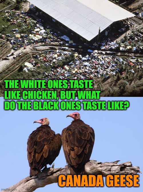 How we taste to Vultures | THE WHITE ONES TASTE LIKE CHICKEN, BUT WHAT DO THE BLACK ONES TASTE LIKE? CANADA GEESE | image tagged in jonestown,vultures | made w/ Imgflip meme maker