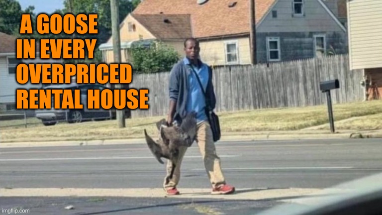 Haitian Man With Goose | A GOOSE IN EVERY OVERPRICED RENTAL HOUSE | image tagged in haitian man with goose | made w/ Imgflip meme maker